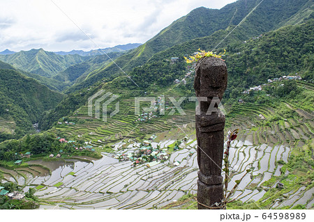 Btad rice terraces bulul 64598989
