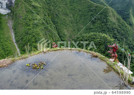Btad rice terraces 64598990