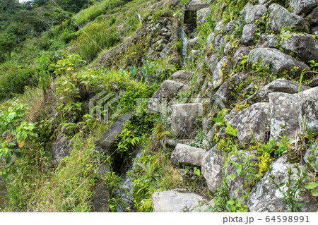Btad rice terraces Btad rice terraces 64598991