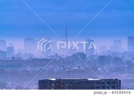 《東京都》自粛ムード・霧に包まれた東京 64599459
