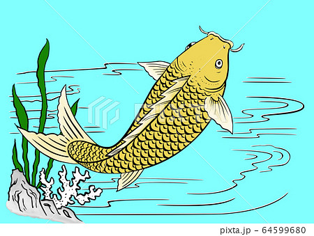 魚 魚類 サカナ 64599680