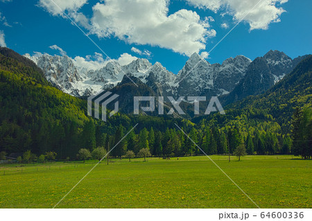 Mountains in Triglav national park 64600336