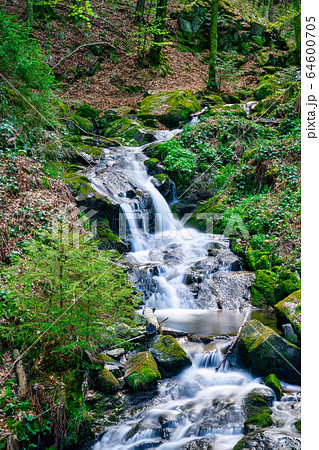 View of a small cascade waterfall in the Black 64600705