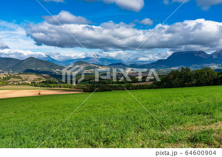 Trieves valley with the Vercors mountain range Trieves valley with the Vercors mountain range 64600904