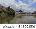 公園 64602650