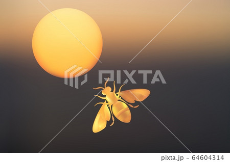 Honey bee. Striped orange bee illustration mesh. Insect. sunset 64604314
