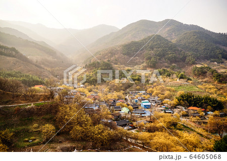 山 農村 田舎 64605068