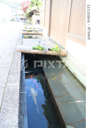 大洲　おはなはん通り 64605335