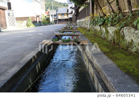 大洲　おはなはん通り 64605341