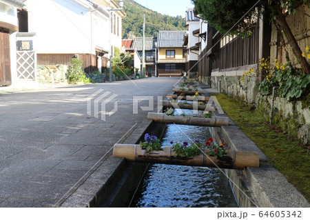 大洲　おはなはん通り 64605342