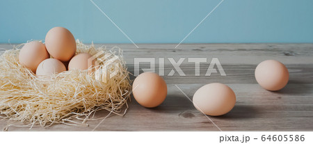 egg 卵 egg 卵 64605586
