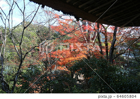 紅葉の臥龍山荘 64605804