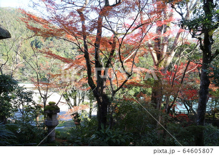 紅葉の臥龍山荘 64605807