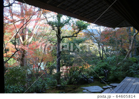 紅葉の臥龍山荘 64605814