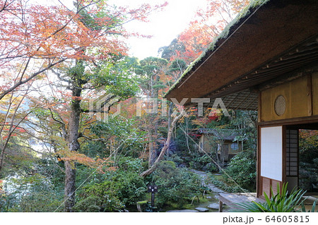 紅葉の臥龍山荘 紅葉の臥龍山荘 64605815