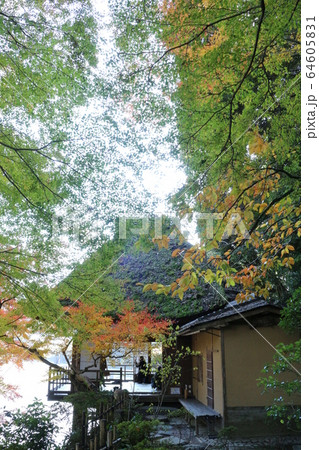 紅葉の臥龍山荘 紅葉の臥龍山荘 64605831