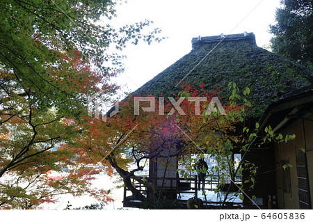 紅葉の臥龍山荘 紅葉の臥龍山荘 64605836