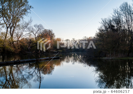 Little Danube and a forest, Malinovo Little Danube and a forest, Malinovo 64606257