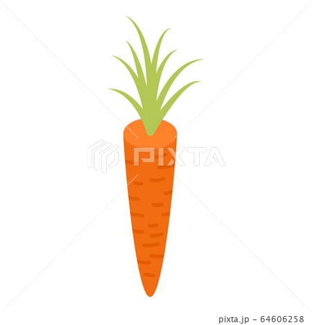 Orange carrot icon, isometric style 64606258