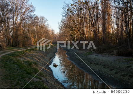 Little Danube channel, Malinovo 64606259