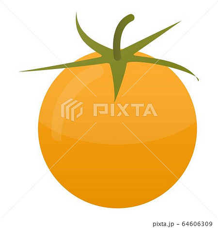 Yellow tomato icon, isometric style 64606309