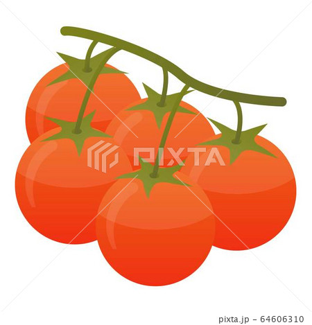 Branch tomato icon, isometric style Branch tomato icon, isometric style 64606310