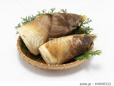 たけのこ 64606522