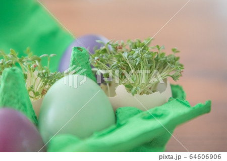 Deco handmade easter eggs present box with cress Deco handmade easter eggs present box with cress 64606906