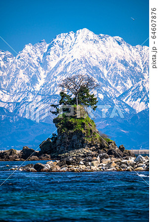 《富山県》雨晴海岸・女岩と立山連峰 《富山県》雨晴海岸・女岩と立山連峰 64607876