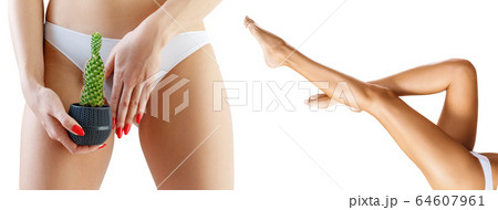 Collage of woman with cactus near panties and legs. 64607961