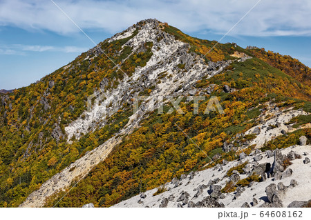 南アルプス・鳳凰三山・薬師岳から見る観音岳 64608162