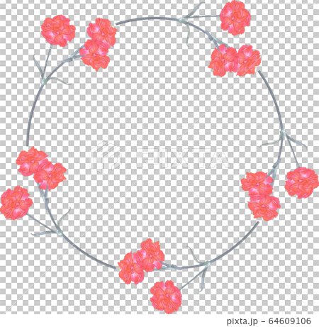 Carnation circle Carnation circle 64609106