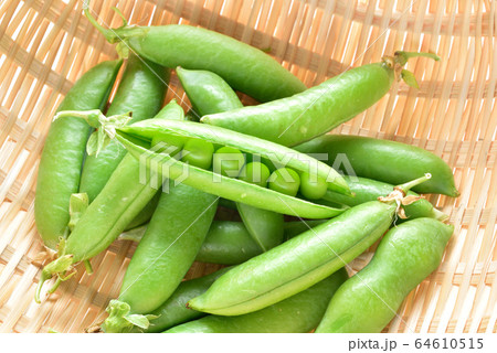 グリーンピース　さやえんどう　新鮮野菜　フレッシュイメージ 64610515