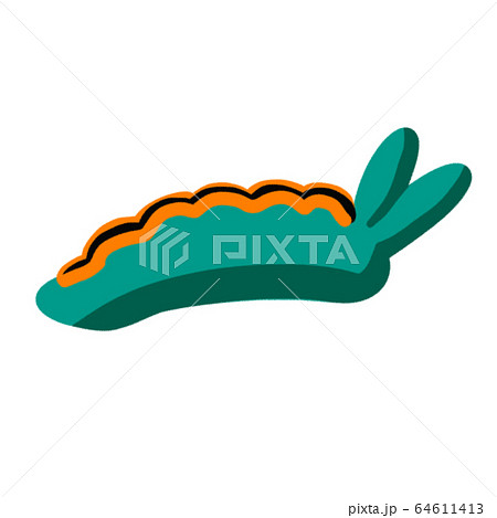 ウミウシ(アカフチミドリガイ) 64611413