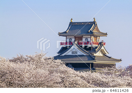 愛知県 清洲城と桜の写真素材