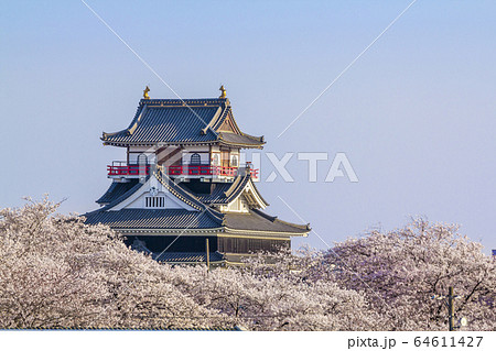 愛知県 清洲城と桜の写真素材