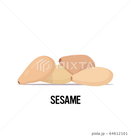 sesame seeds organic healthy vegetarian food on white background sesame seeds organic healthy vegetarian food on white background 64612101
