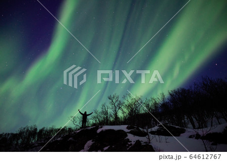オーロラの光を受けて/ノーザンライツ 64612767