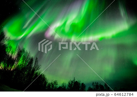 宇宙を感じる/オーロラ爆発 宇宙を感じる/オーロラ爆発 64612784