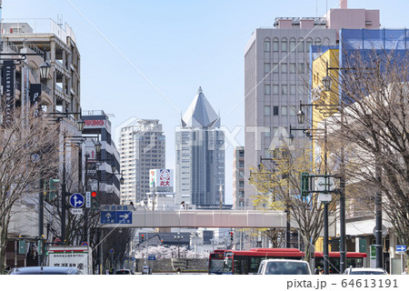 新潟市万代地区の街並み (信濃川・古町方面を望む) 64613191