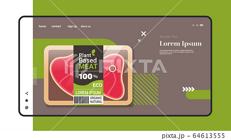 plant based vegetarian steak beyond meat in packaging organic natural vegan food concept horizontal copy space 64613555