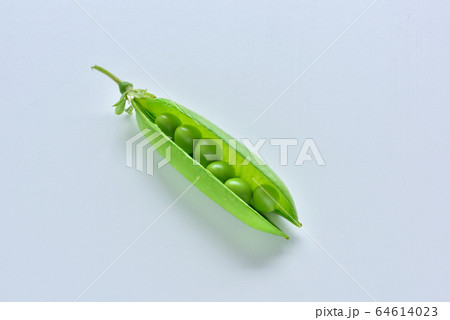 グリーンピース さやえんどう 新鮮野菜 フレッシュイメージ グリーンピース さやえんどう 新鮮野菜 フレッシュイメージ 64614023