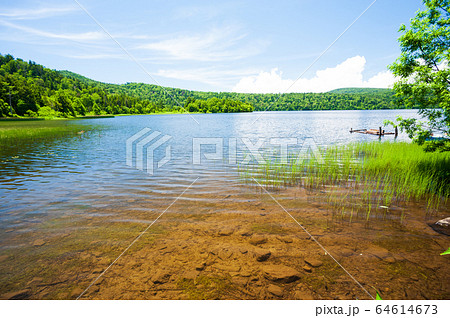 夏の尾瀬 64614673