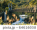 谷 山あい 渓谷 64616038