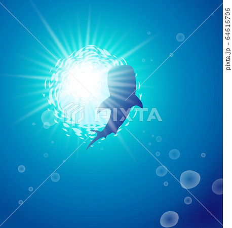 輝く青い海を泳ぐジンベエザメのイラスト素材