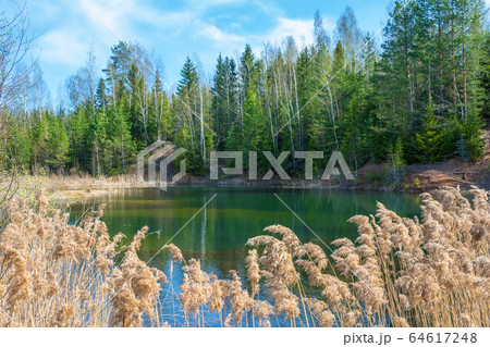 Small forest lake in Sunny day. Small forest lake in Sunny day. 64617248