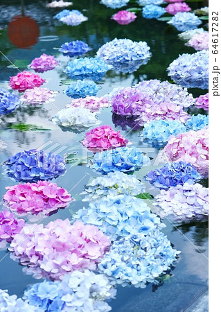 久安寺 久安寺 64617282