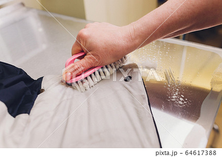 Laundry worker in the process of cleaning fur brush. Laundry worker in the process of cleaning fur brush. 64617388