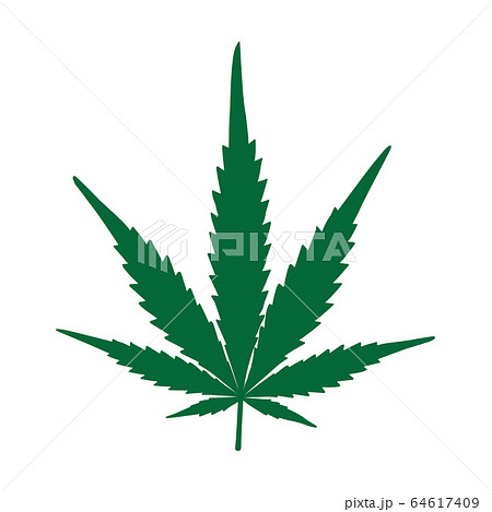 Silhouette Marijuana Leaf on White Backgrpund Silhouette Marijuana Leaf on White Backgrpund 64617409