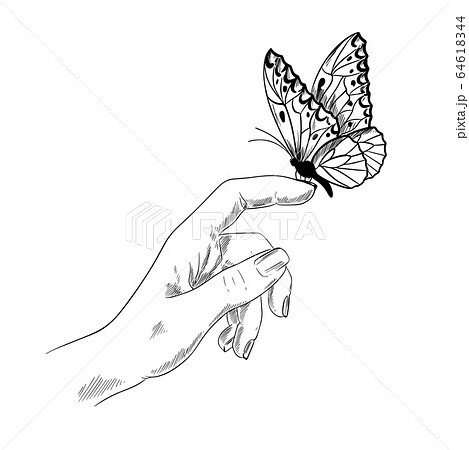 Butterfly On Finger Girl Hand Ink Sketchのイラスト素材 64618344 Pixta